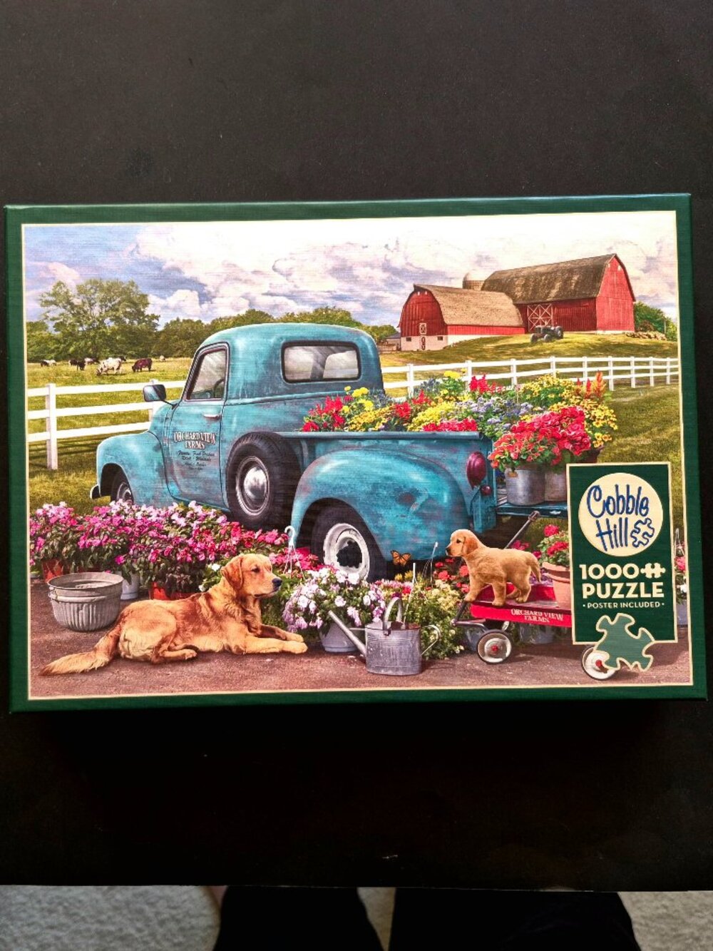 1000 Piece Jigsaw Puzzle